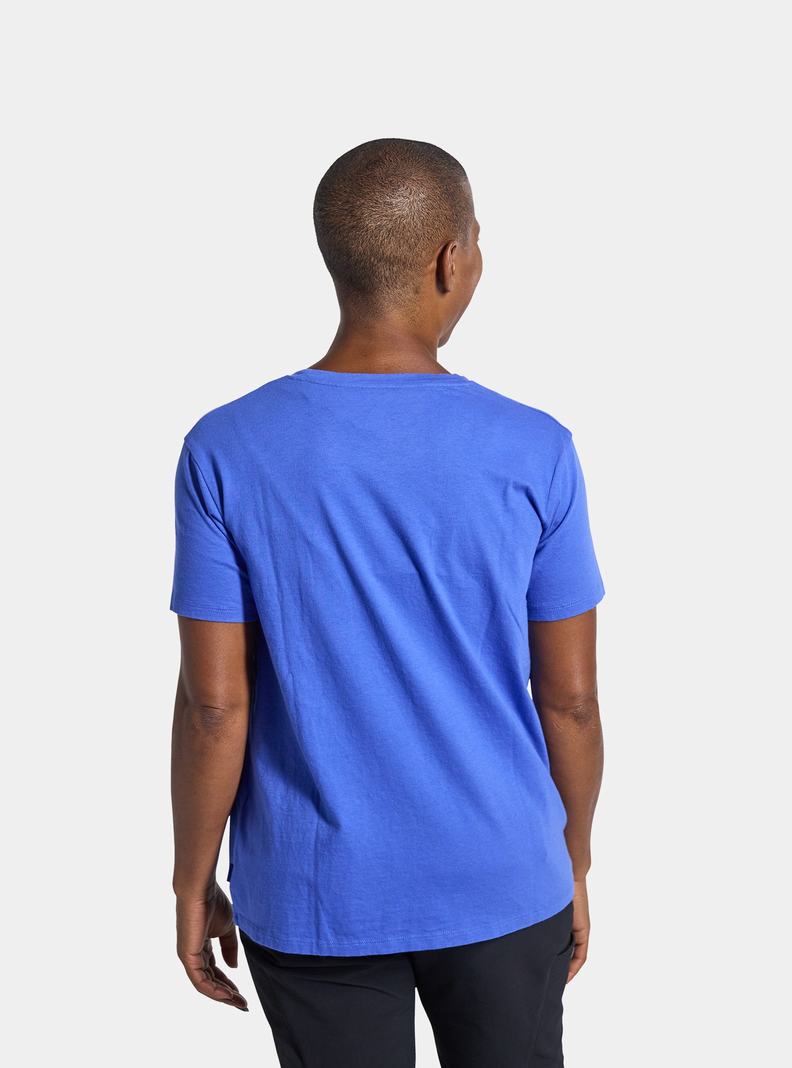 Blue Burton Colfax Short Sleeve Women's T-Shirts | EUGOAR732