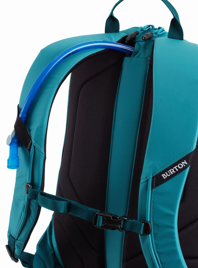 Blue Burton Day Hiker 25L Unisex Backpacks | WTYNFS723