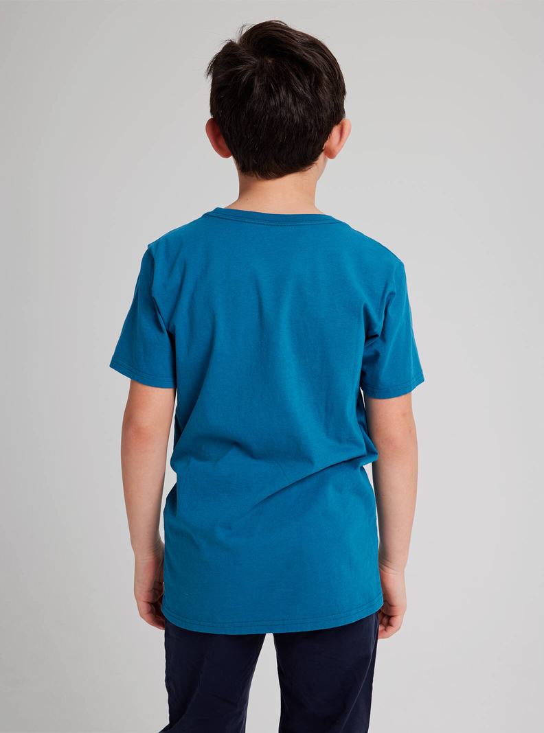 Blue Burton Pinecrest Short Sleeve Kids' T-Shirts | ZDLANJ359