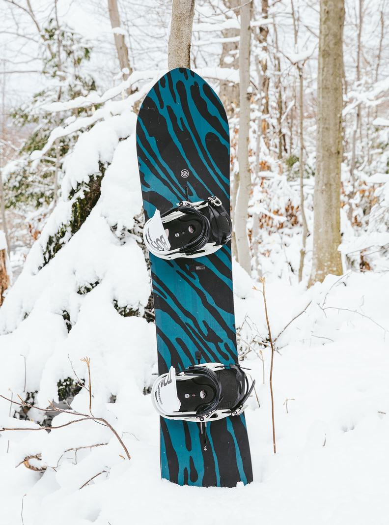 Burton Fish 3D Directional Flat Top Men's Snowboards | CADENT957