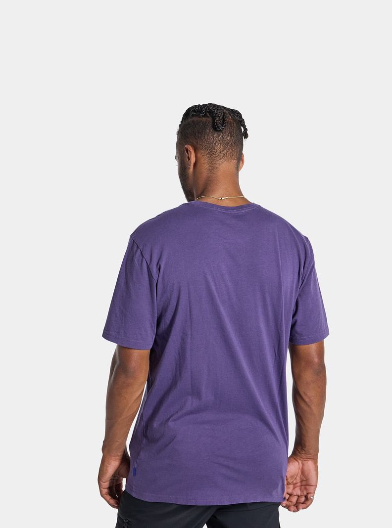 Purple Burton Colfax Short Sleeve Men's T-Shirts | WGPEVS075